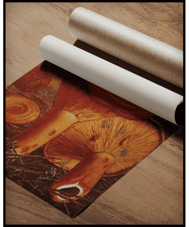 Lactarius Deliciosus