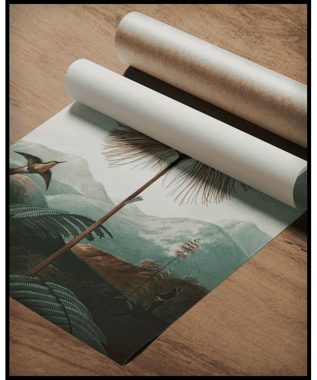 Large Flowering Sensitive Plant