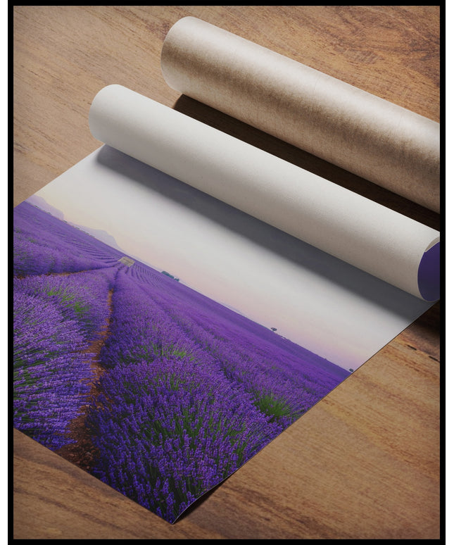 Ein Poster von einem Lavendelfeld und einem Heißluftballon mit lila-weißem Muster, der über dem Feld schwebt, gerollt auf einer Holzoberfläche liegend