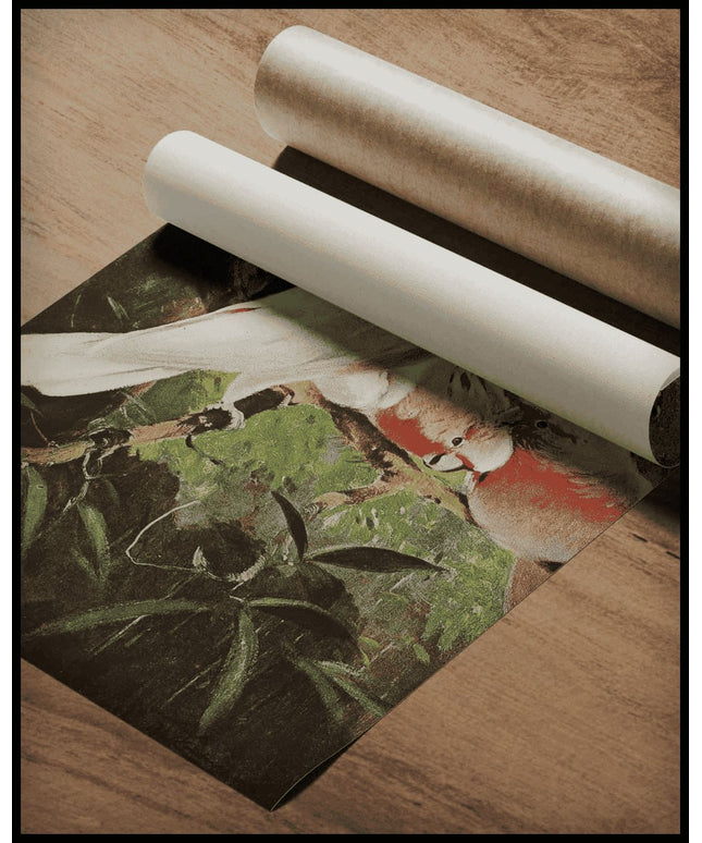 Leadbeaters Cockatoo