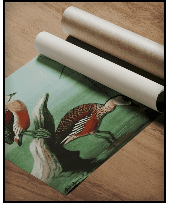 Javapfeifgans Poster