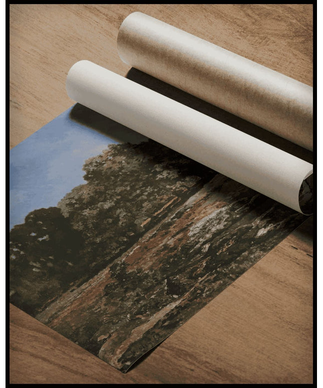 Allee De Chataignier