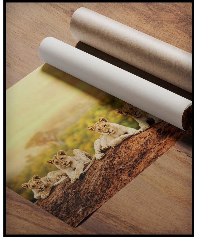 Ein Poster von fünf jungen Löwen, die auf einem Hügel sitzen, mit einer weiten afrikanischen Savannenlandschaft im Hintergrund, gerollt auf einer Holzoberfläche liegend