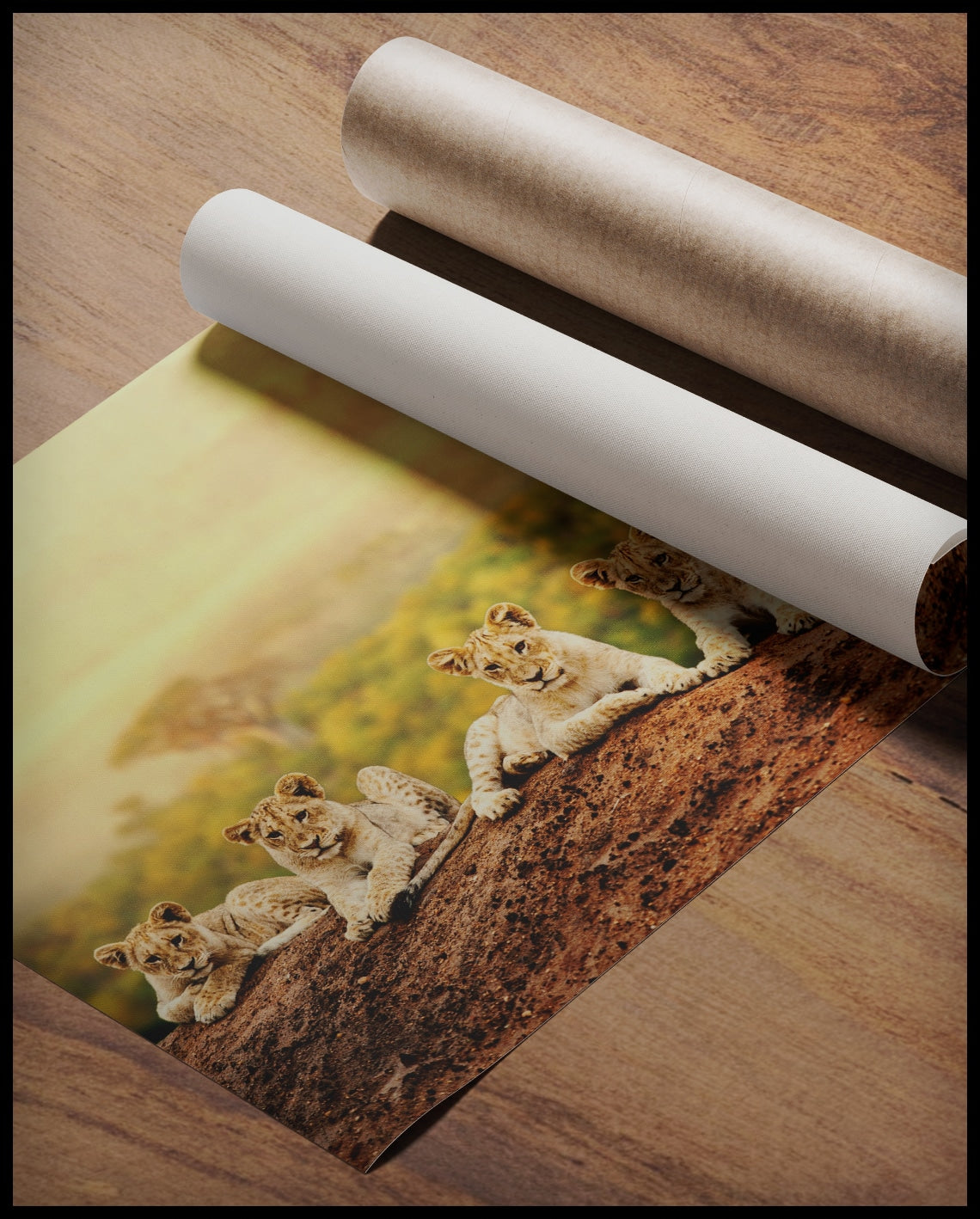 Ein Poster von fünf jungen Löwen, die auf einem Hügel sitzen, mit einer weiten afrikanischen Savannenlandschaft im Hintergrund, gerollt auf einer Holzoberfläche liegend