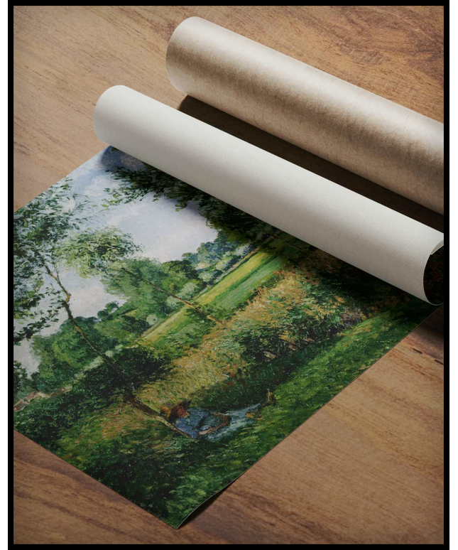 Morning Sunlight Effect