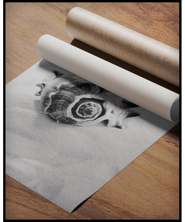Ein Poster von einer großen Muschel auf feinem weißen Sand, gerollt auf einer Holzoberfläche liegend