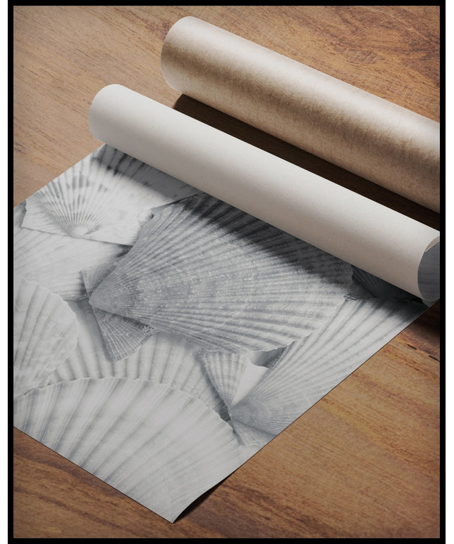 Ein Poster von mehreren weißen Muschelschalen, die dicht beieinander liegen und eine strukturierte Oberfläche bilden, gerollt auf einer Holzoberfläche liegend