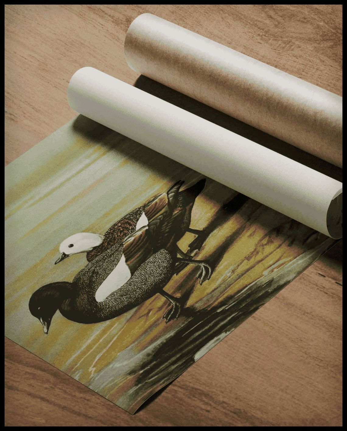 Fringillid Duck Poster