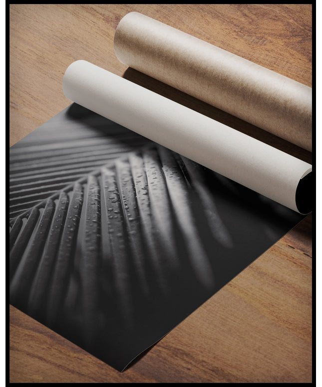 Ein Poster von einem Palmenblatt in Schwarz-Weiß mit Wassertropfen, gerollt auf einer Holzoberfläche liegend