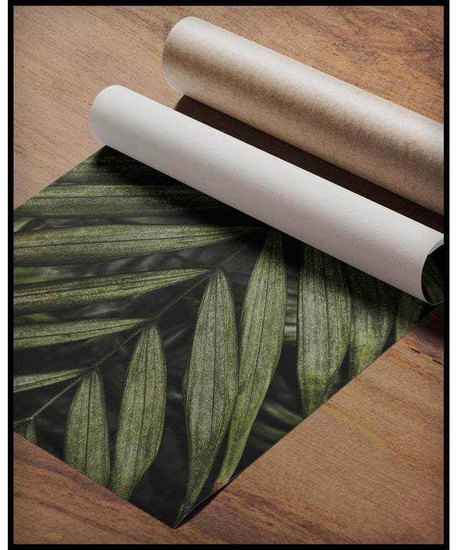 Ein Poster einer Nahaufnahme von einem feinen, grünen Palmenblatt, gerollt auf einer Holzoberfläche liegend