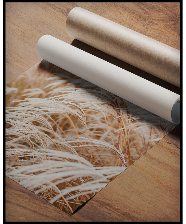 Ein Poster von Pampasgras, das sich im Wind bewegt, gerollt auf einer Holzoberfläche liegend