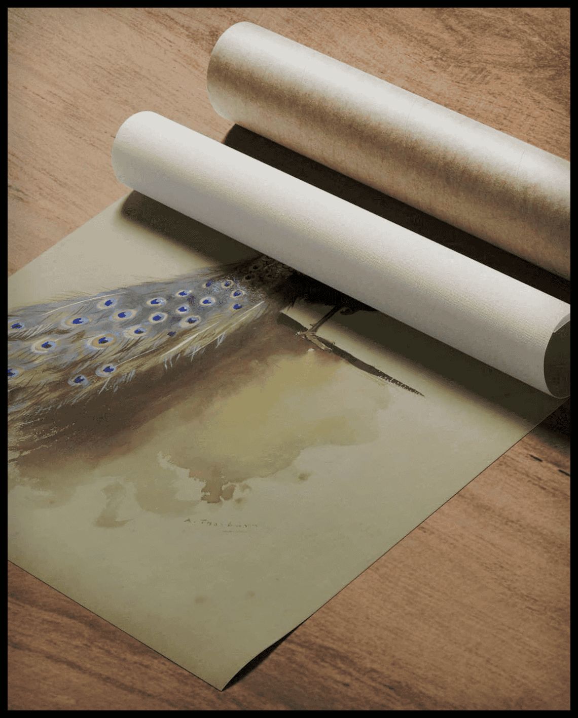 Pfau Poster