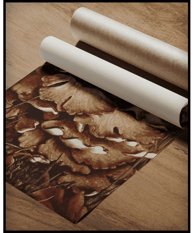 Polyporus Intybaceus