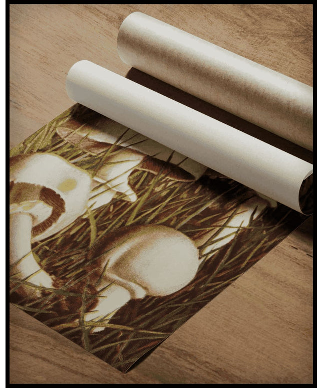 Pratella Xanthoderma