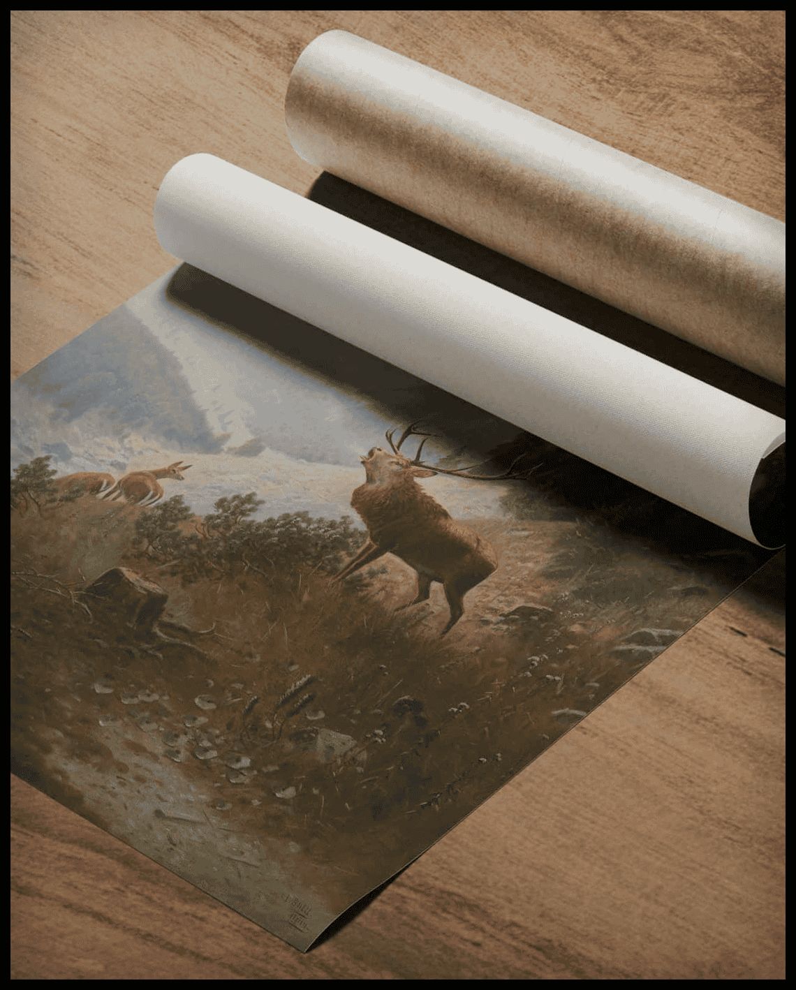 Roaring stag