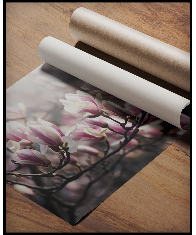 Ein Poster von zartrosa Blüten an einem blühenden Baumzweig, die von weichem Licht umhüllt sind, gerollt auf einer Holzoberfläche liegend