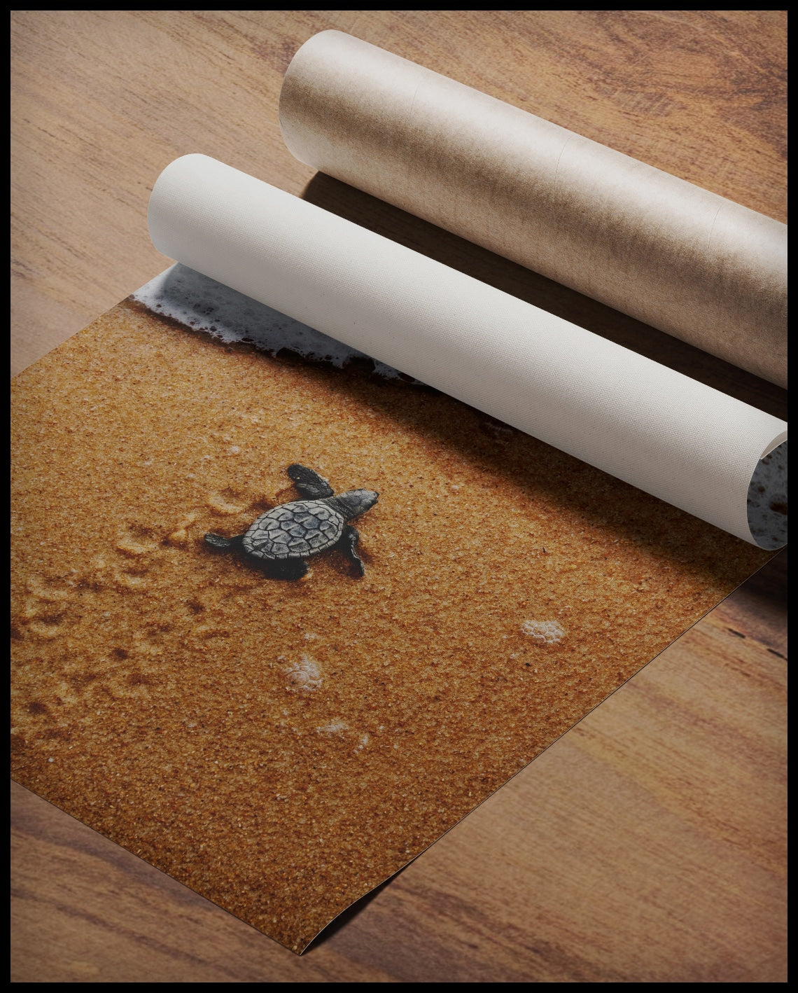 Ein Poster von einer Baby Schildkröte am Strand, die auf dem Weg zum Wasser ist, gerollt auf einer Holzoberfläche liegend