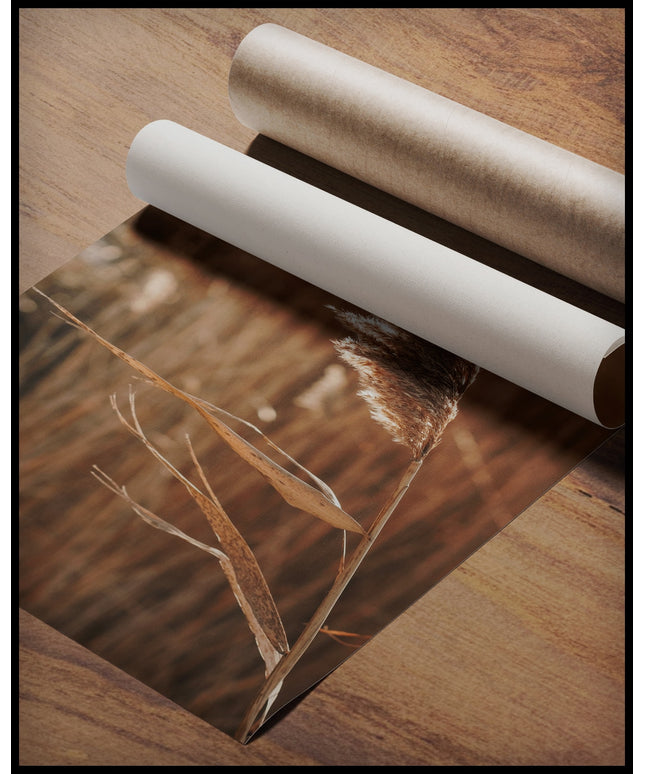 Ein Poster einer Nahaufnahme von einer Getreidepflanze, die sich im Wind bewegt, gerollt auf einer Holzoberfläche liegend