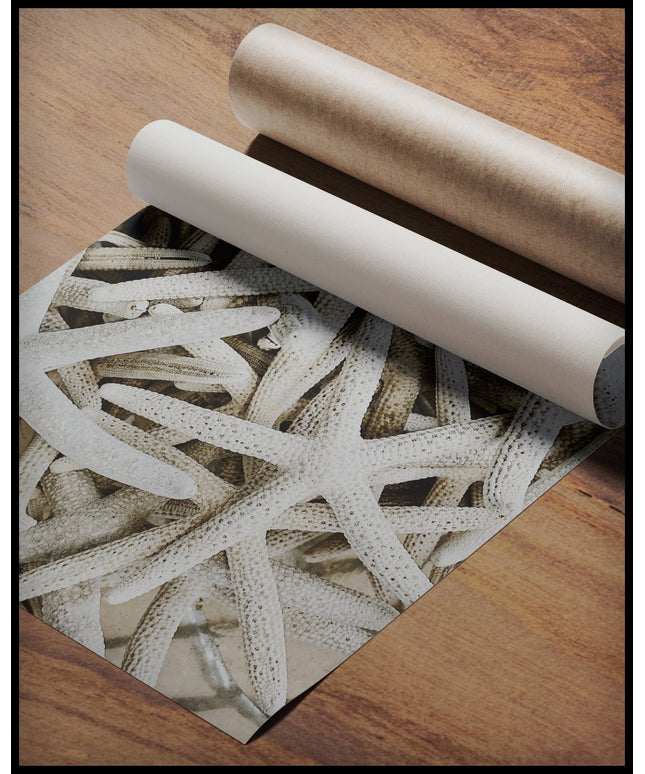 Ein Poster einer Nahaufnahme von vielen weißen Seesternen, gerollt auf einer Holzoberfläche liegend