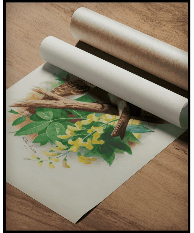 Grauschnäpper Poster