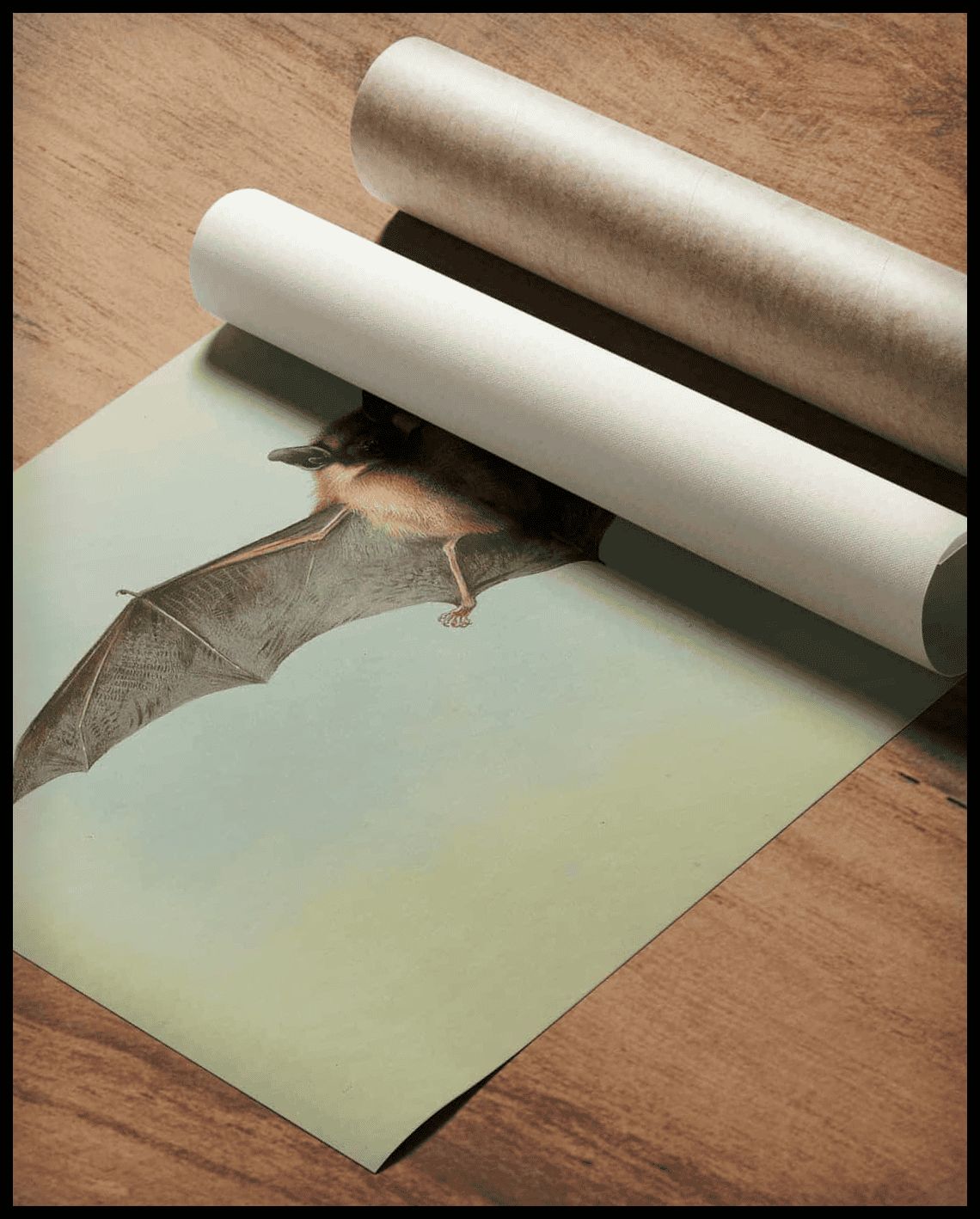 Fledermaus Poster
