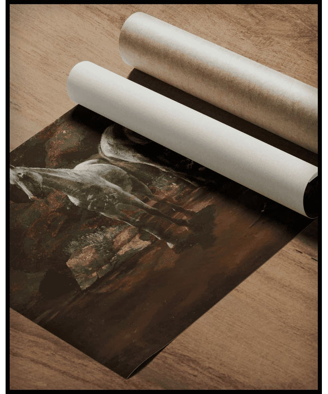 Study Of Wild Horses