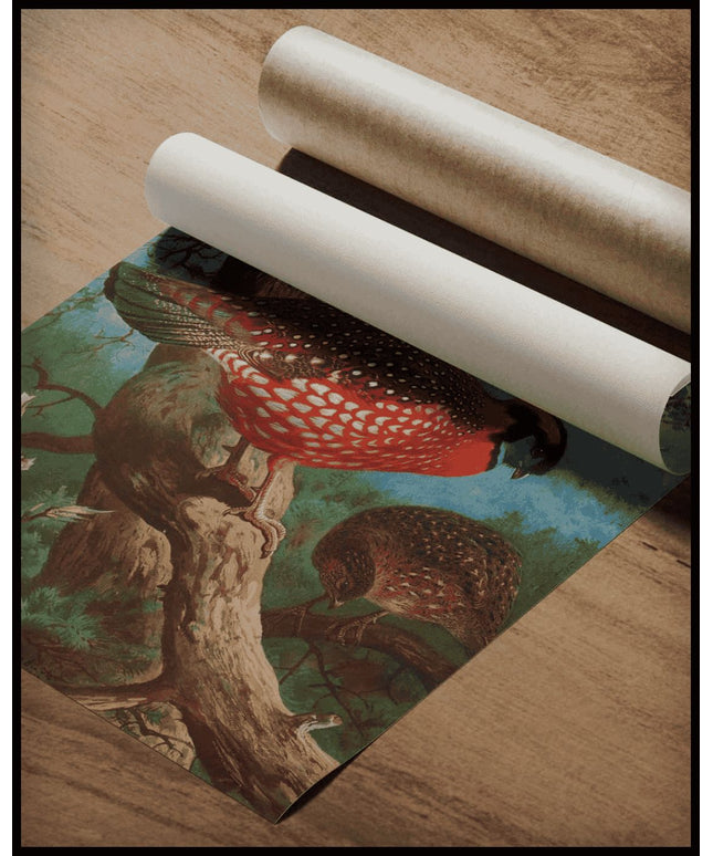 Temmincktragopan Poster