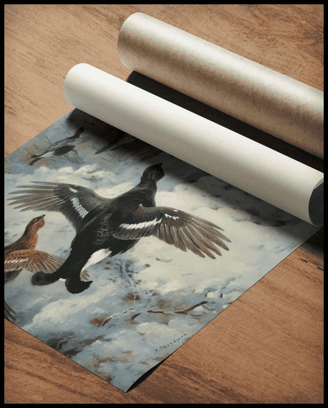Hühner Poster