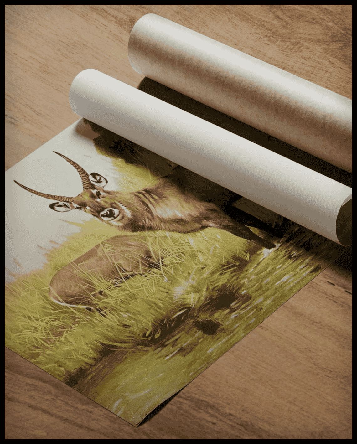 Waterbuck