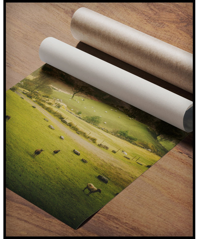 Ein Poster von einer grünen Weide mit Schafen vor einem Berg, gerollt auf einer Holzoberfläche liegend