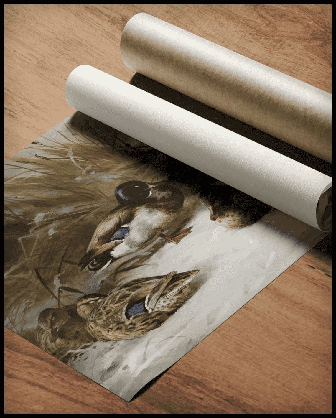 Stockenten Poster