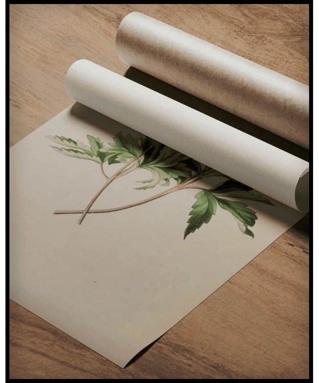 Buschwindröschen Poster