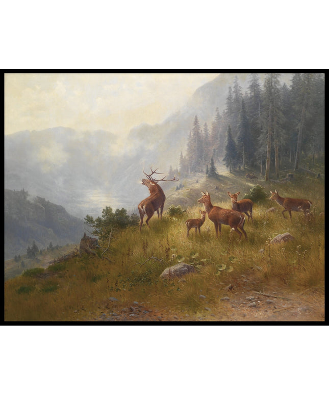 Hirsche Im Hochgebirge