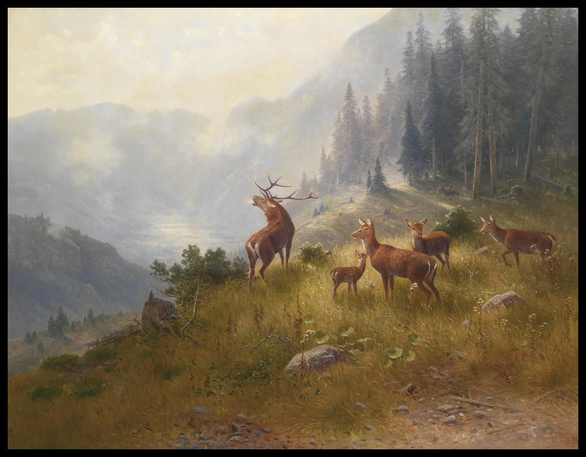 Deer in the high mountains