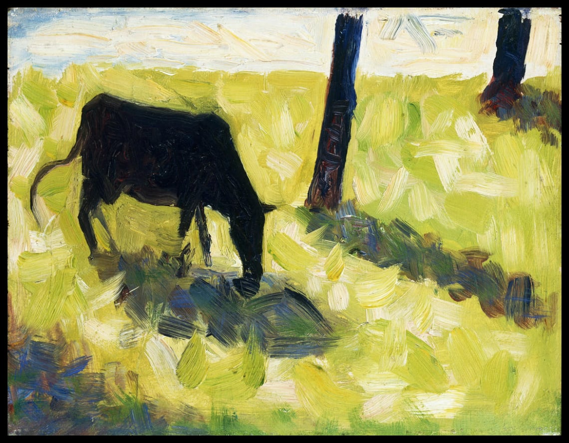 Vache noire dans un pré