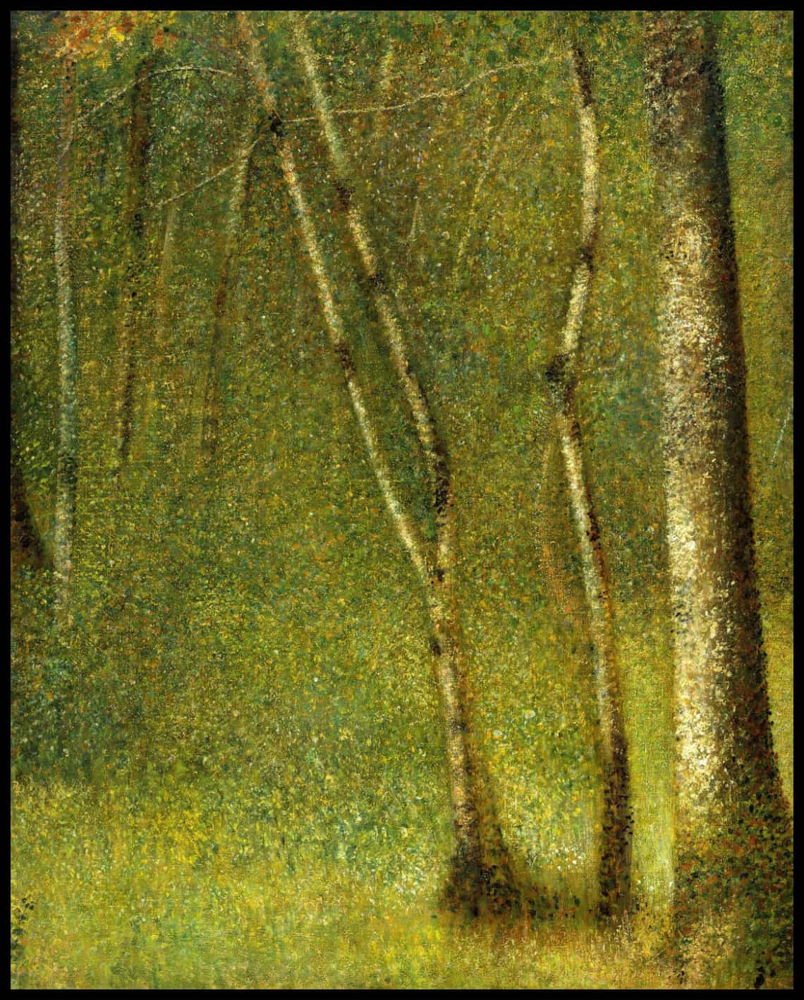 La forêt de Pontaubert