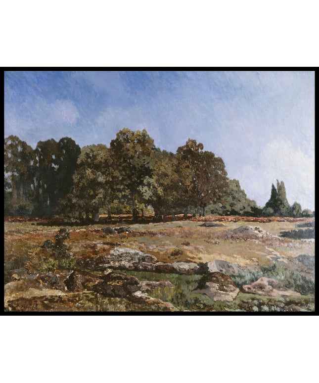 Allee De Chataignier