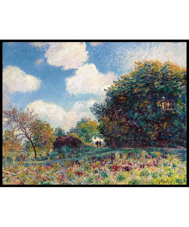 Chemin À L'entrée D'un Bois