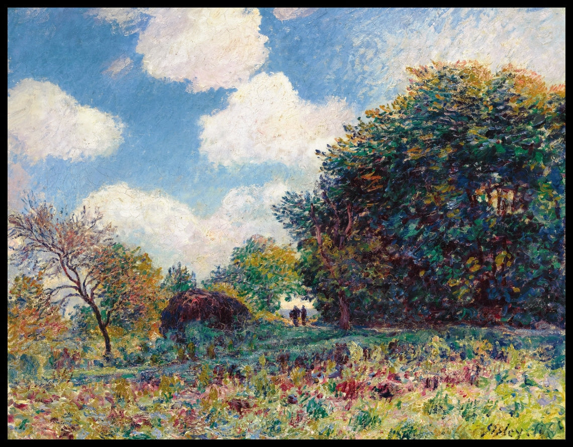 Chemin À L'entrée D'un Bois
