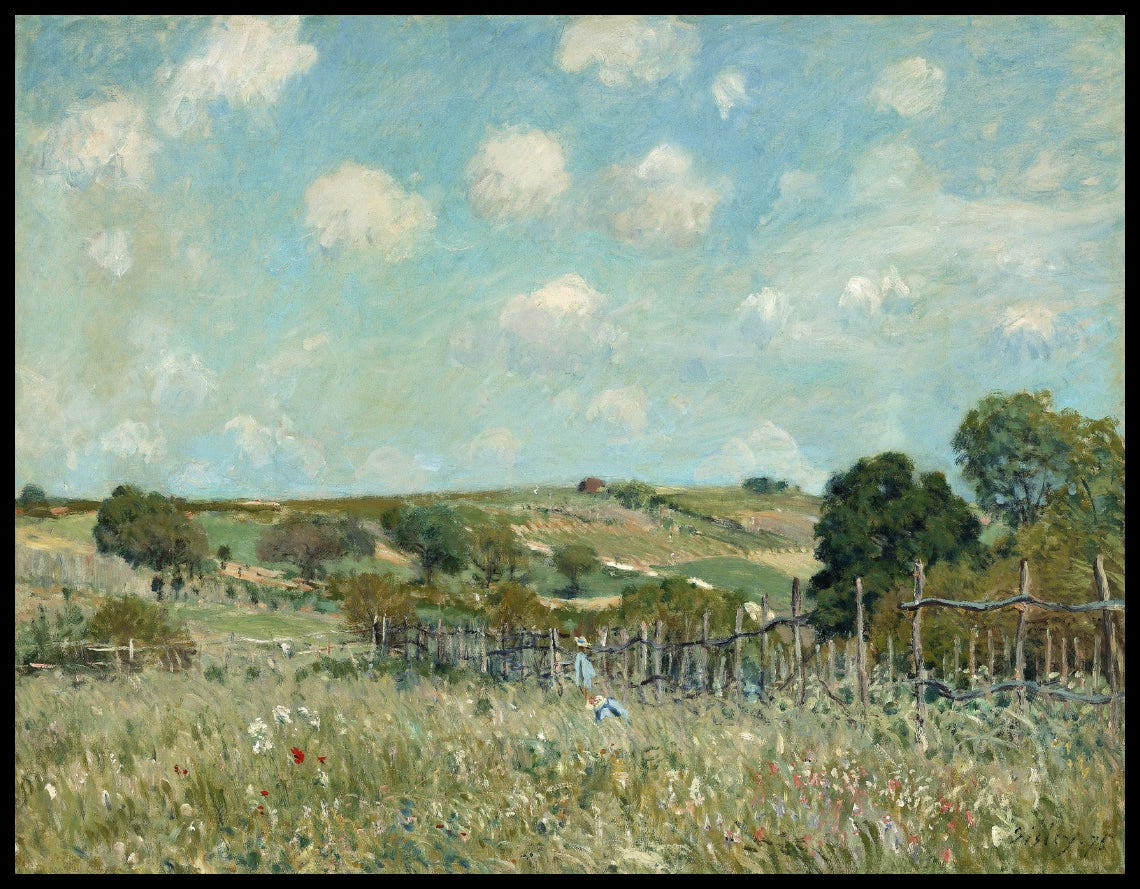 Meadow