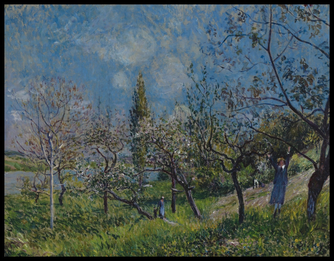 Orchard In Spring