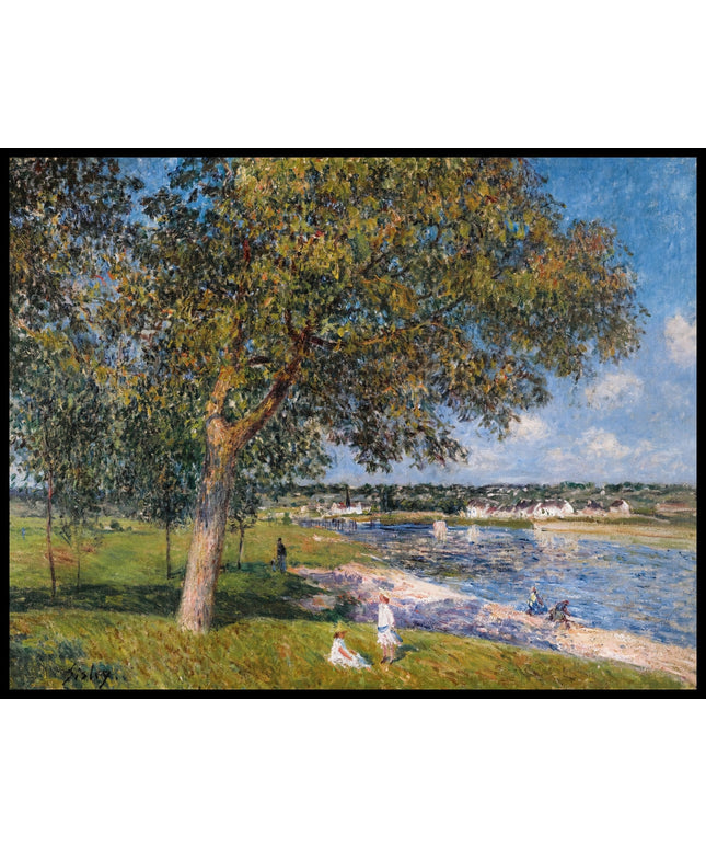 Un Noyer Dans La Prairie