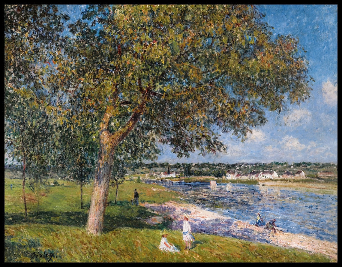 Un Noyer Dans La Prairie
