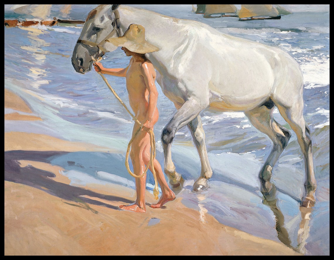 Le bain du cheval