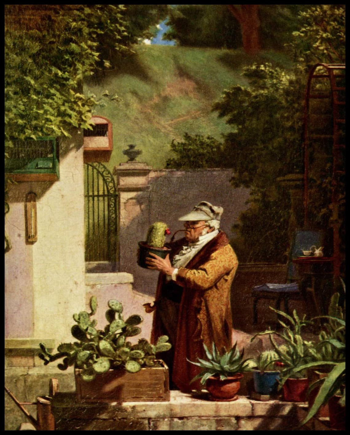 L'ami des cactus