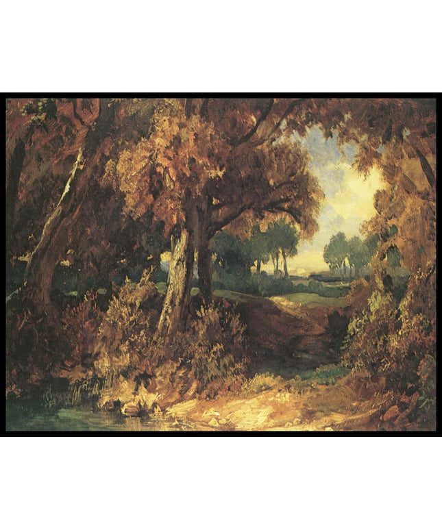 Waldlandschaft mit großen Laubbäumen