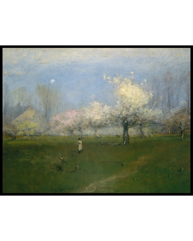 Spring Blossoms