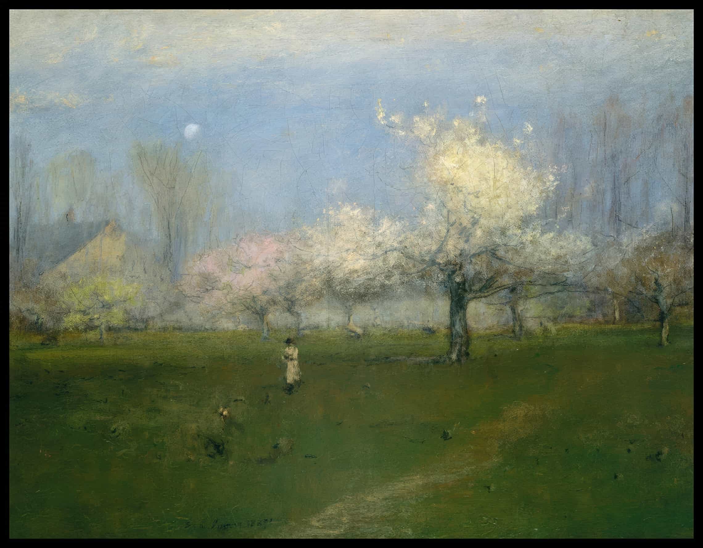 Spring Blossoms