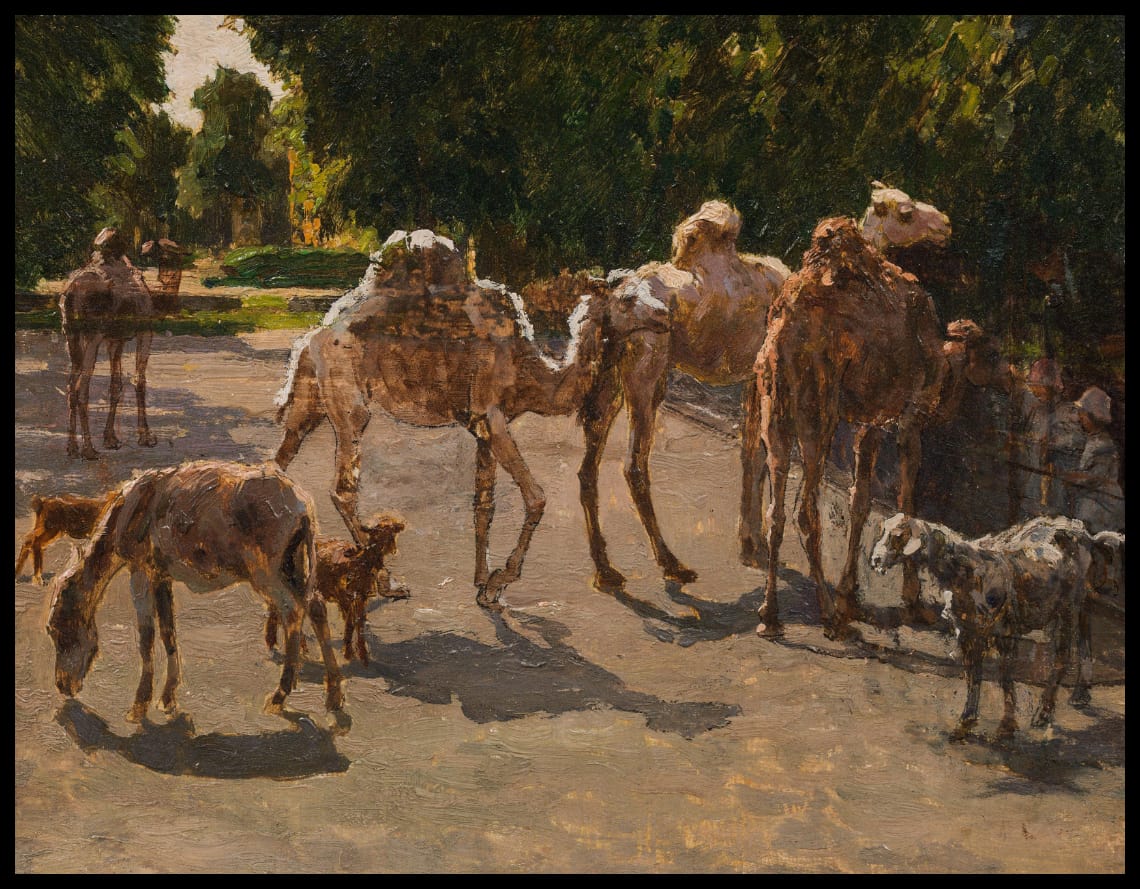 Dromedaries at Schönbrunn Zoo