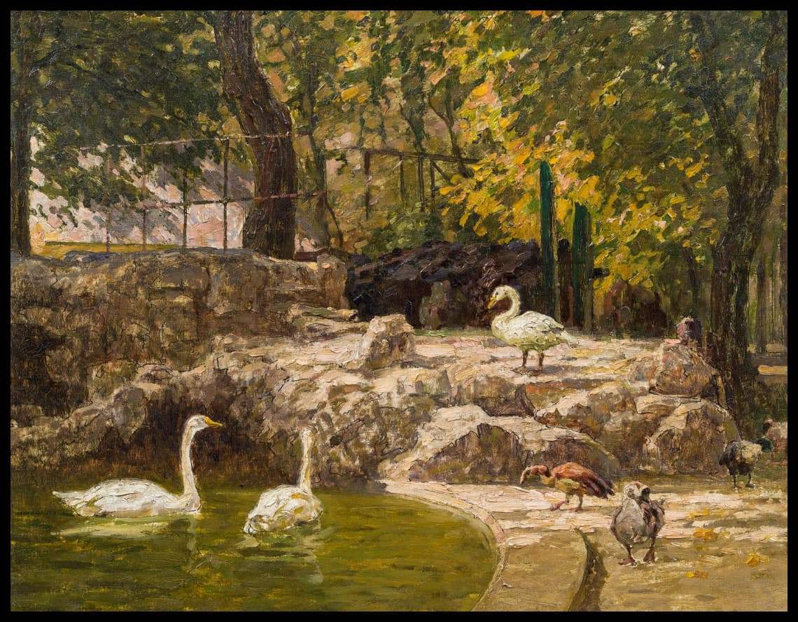 Ducks and swans in the small Schönbrunn pond